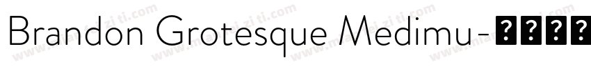 Brandon Grotesque Medimu字体转换